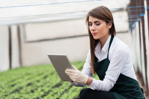 Diploma in gestione dell'innovazione per la produzione di alimenti e bevande