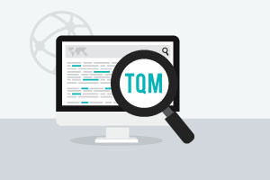 Comprender el costo de la calidad y las herramientas de TQM