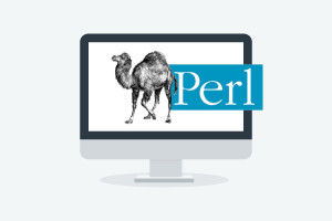 Fundamentos da programação Perl