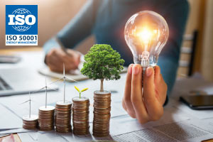 ISO 50001:2018 - Elementi del sistema di gestione dell'energia (EnMS)