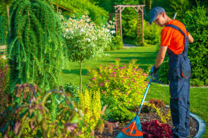 Diploma in progettazione e manutenzione di giardini