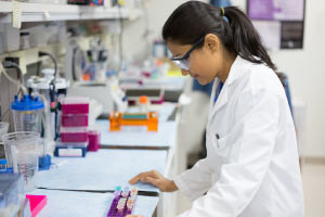 Introducción a la investigación biomédica
