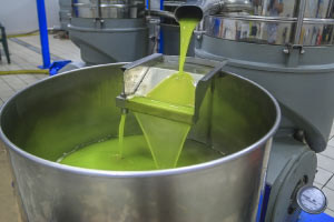 Extraction, Processing and Shelf Life Extension of Oils