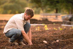 Introduction to Soil Science and Technology