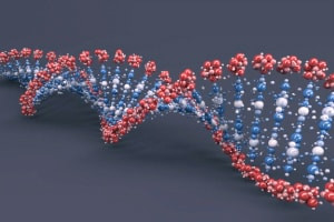 Diploma avanzato in ingegneria genetica - Teoria e applicazione