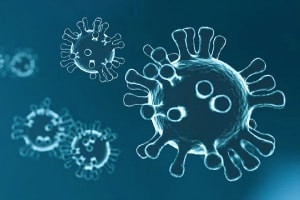 Nozioni di base sulla virologia