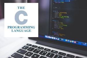 Programmazione C - Numeri, variabili e matrici