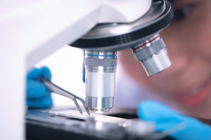 Principi di ereditarietà e biologia dello sviluppo