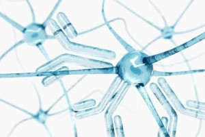Understanding Antibody Diversity in Immunology
