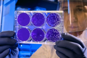 Biotecnologia - Técnicas de Biologia Celular