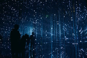 Diploma in reti neurali convoluzionali in visione artificiale