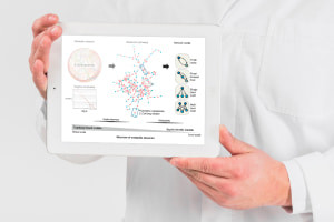 Analisi della rete metabolica