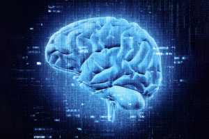 Neuroscienze per principianti e sviluppo umano