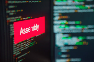 Programación en lenguaje ensamblador