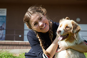 Working With Dogs