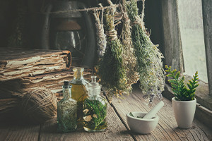 Conceptos básicos de la medicina herbal