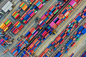 Import and Export For Beginners