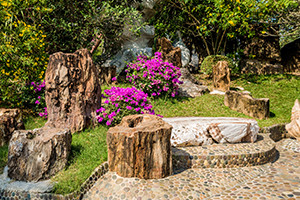 Fondamenti di progettazione del giardino