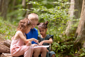 Introduction to Forest Schooling