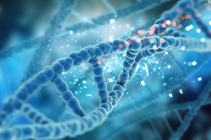 Introduzione al DNA e alla genealogia