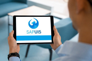 Diploma en Desarrollo de SAPUI5