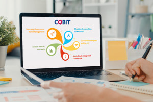 COBIT Framework - Fondamenti della governance IT