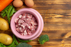 The Complete Guide to Feeding Dogs Raw Food