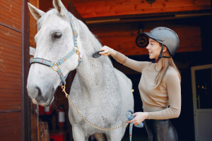 Cuidado de caballos y manejo de establos