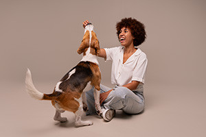 Understanding Pet Sitting and Dog Walking Business