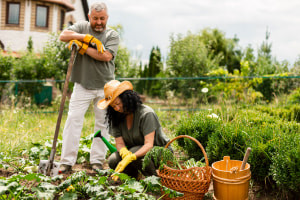 Nozioni di base sull'homesteading