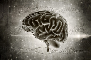 Neuroscience of Learning