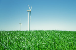 Teoría de la agricultura sostenible: cultivar un futuro más ecológico
