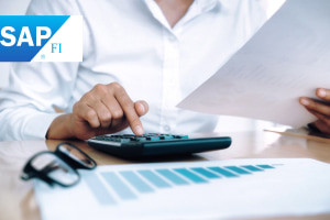 Contabilità finanziaria SAP (FI) - Concetti essenziali