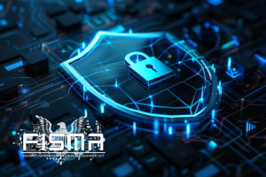 Unraveling FISMA - Cybersecurity With Regulatory Frameworks