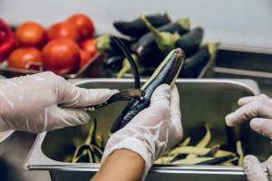 Fundamentos do HACCP e segurança alimentar de catering