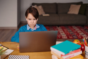 Divario digitale e apprendimento remoto: sfide etiche nella connettività rurale