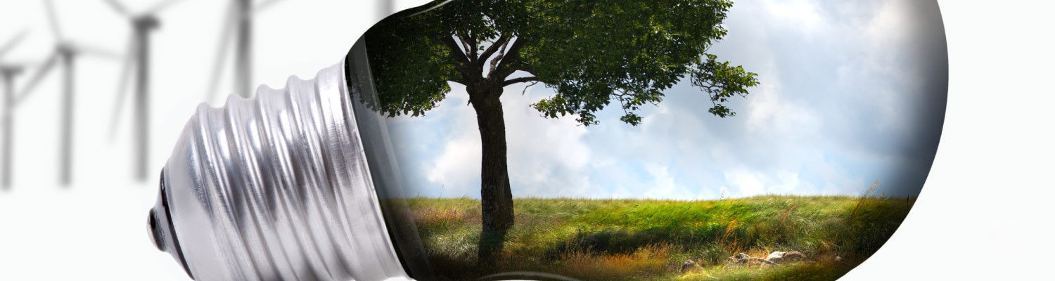 Alison launches new course: Wind Energy - From Wind Turbines to Grid Integration