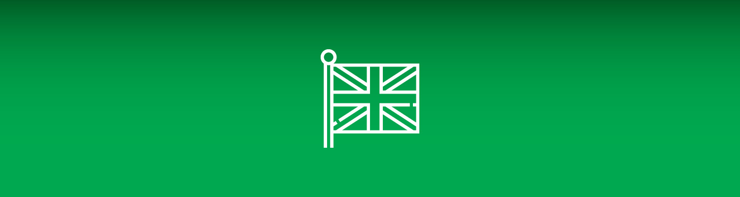 Diploma in Basic English Grammar 