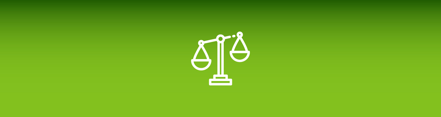 Understand Why Social Inequality Persists