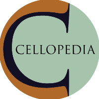 Course creators avatar